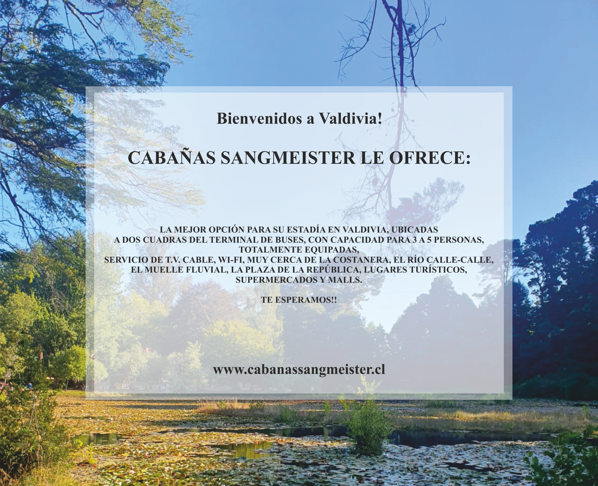 SERVICIOS MÁS GRANDE2